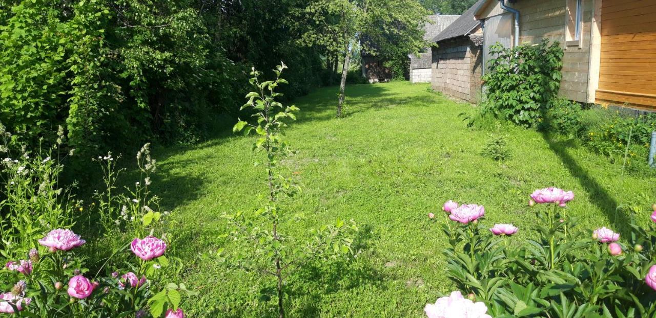 Dom Na Wsi ,, Koszelowka " Koszele  Luaran gambar